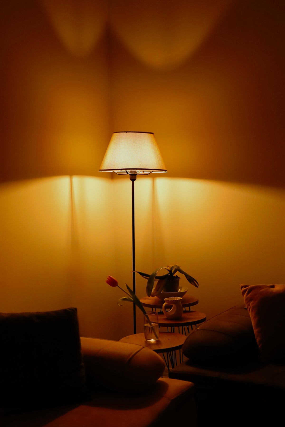 Living room with lamp and ceramics